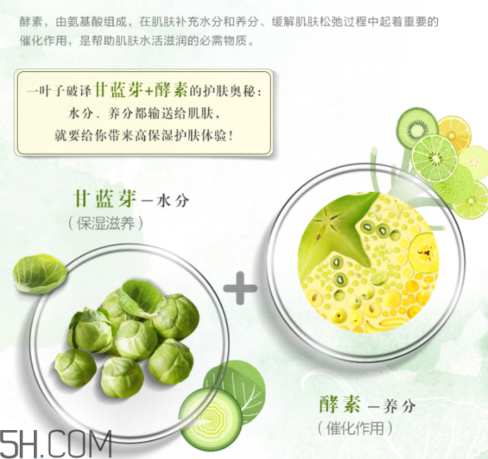 一叶子鲜补水保湿洁面乳